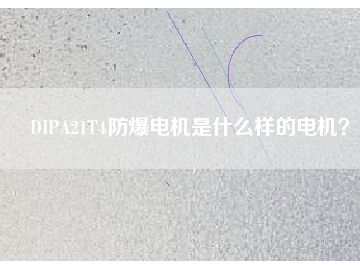 DIPA21T4防爆電機(jī)是什么樣的電機(jī)？