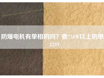 防爆電機(jī)有單相的嗎？要750W以上的單相220V