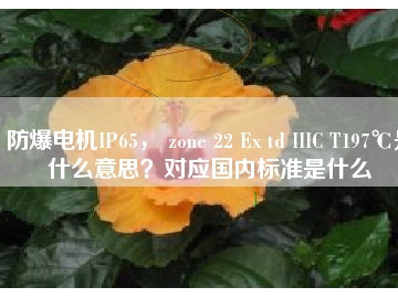 防爆電機(jī)IP65， zone 22 Ex td IIIC T197℃是什么意思？對應(yīng)國內(nèi)標(biāo)準(zhǔn)是什么