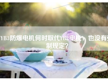 YB3防爆電機(jī)何時(shí)取代YB2電機(jī)，也沒(méi)有強(qiáng)制規(guī)定？