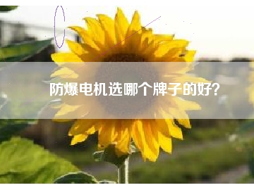 防爆電機選哪個牌子的好？