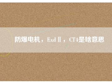 防爆電機(jī)，ExdⅡ，CT4是啥意思