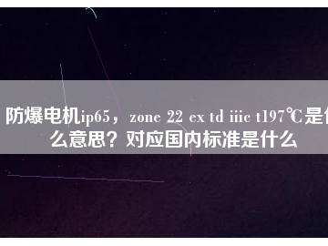 防爆電機(jī)ip65，zone 22 ex td iiic t197℃是什么意思？對應(yīng)國內(nèi)標(biāo)準(zhǔn)是什么