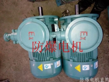 防爆電機分類：防爆電機選型、參數、定義