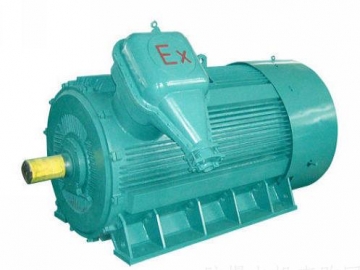 防爆電機(jī)如何出現(xiàn)掃膛、振動(dòng)、軸承過(guò)熱要怎么處理