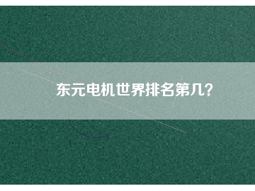 東元電機(jī)世界排名第幾？