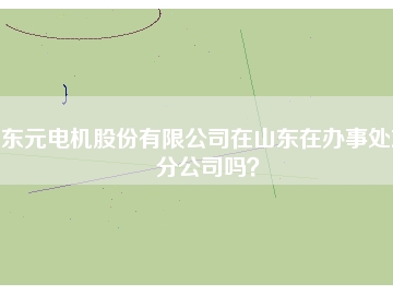 東元電機(jī)股份有限公司在山東在辦事處或分公司嗎？