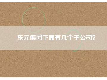東元集團下面有幾個子公司？