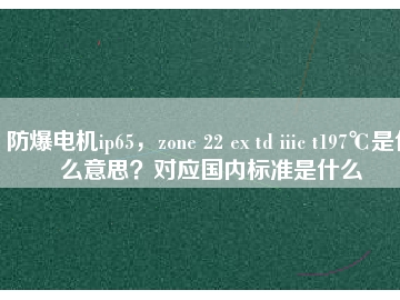 防爆電機(jī)ip65，zone 22 ex td iiic t197℃是什么意思？對(duì)應(yīng)國(guó)內(nèi)標(biāo)準(zhǔn)是什么