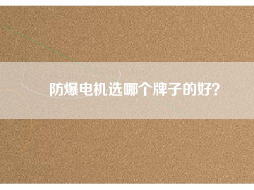 防爆電機(jī)選哪個(gè)牌子的好？
