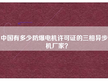 中國(guó)有多少防爆電機(jī)許可證的三相異步電機(jī)廠家？
