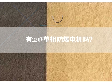 有220V單相防爆電機(jī)嗎？