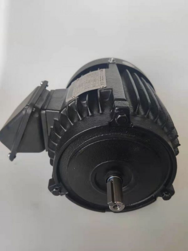 永磁電機 DVEX  37KW  3000RPM  F#160L IE4效率電機