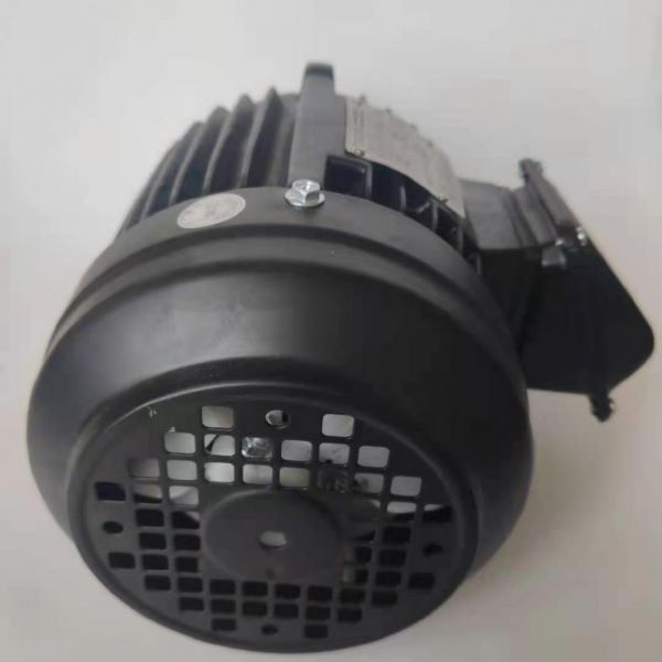 永磁電機 DVEX  37KW  3000RPM  F#160L IE4效率電機