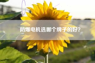 防爆電機(jī)選哪個牌子的好？