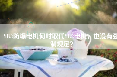 YB3防爆電機(jī)何時(shí)取代YB2電機(jī)，也沒(méi)有強(qiáng)制規(guī)定？