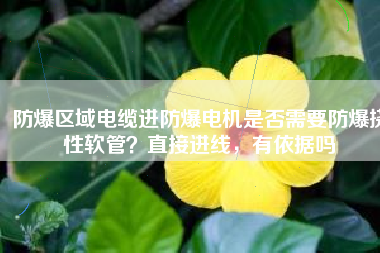 防爆區(qū)域電纜進防爆電機是否需要防爆撓性軟管？直接進線，有依據(jù)嗎