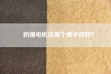 防爆電機(jī)選哪個牌子的好？
