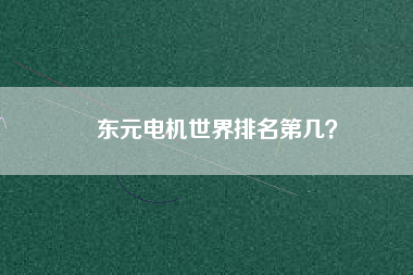 東元電機(jī)世界排名第幾？