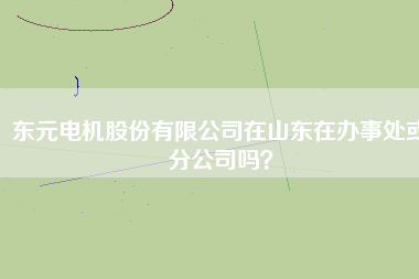 東元電機(jī)股份有限公司在山東在辦事處或分公司嗎？