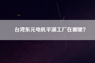 臺灣東元電機平湖工廠在哪里？