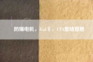 防爆電機，ExdⅡ，CT4是啥意思