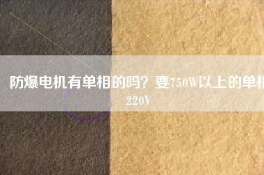防爆電機(jī)有單相的嗎？要750W以上的單相220V