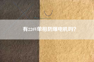 有220V單相防爆電機嗎？
