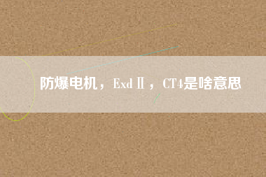 防爆電機(jī)，ExdⅡ，CT4是啥意思