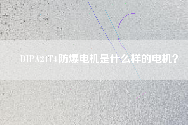 DIPA21T4防爆電機是什么樣的電機？